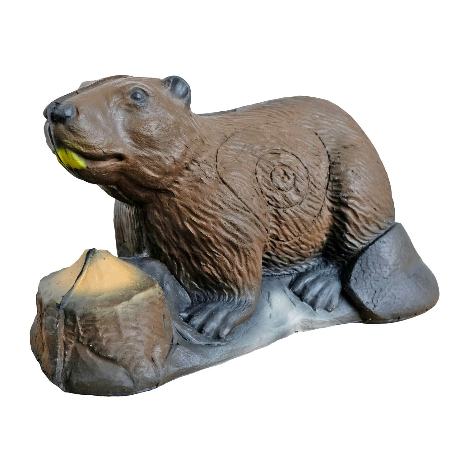 100204 Leitold Beaver 4 100204 Leitold Beaver – Bild 2