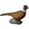 100205 Leitold Pheasant -Bogenwelt Verkauf 3D 0006 Fasan