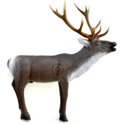 100206 Leitold Red Deer