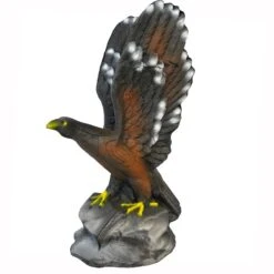 100211 Leitold Golden Eagle