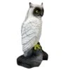 100212 Leitold Snow Owl -Bogenwelt Verkauf 3D 0013 Schneeeule