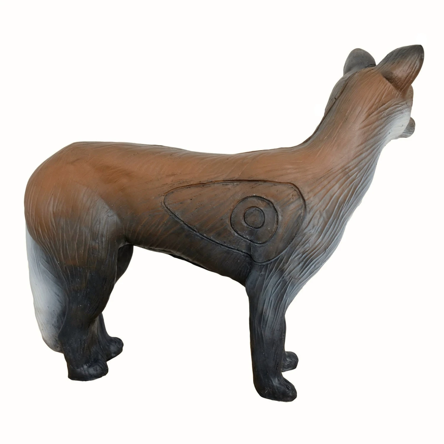 100218 Leitold Coyote 4 100218 Leitold Coyote – Bild 2