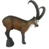 100219 Leitold Ibex -Bogenwelt Verkauf 3D 0018 Steinbock