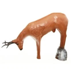 100220 Leitold Roebuck