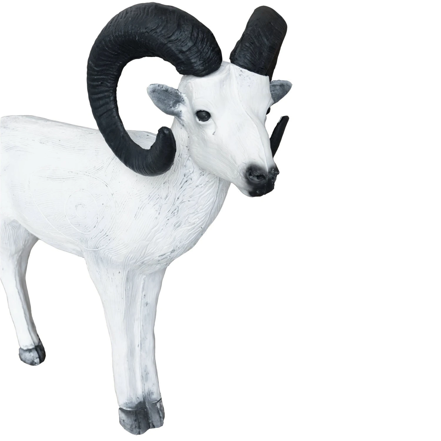 100241 Leitold Standing Dall Sheep 5 100241 Leitold Standing Dall Sheep – Bild 3