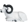 100242 Leitold Bedded Dall Sheep 1 100242 Leitold Bedded Dall Sheep -Bogenwelt Verkauf 3D 0041 Dallschaf liegend