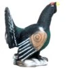 100246 Leitold Capercaillie -Bogenwelt Verkauf 3D 0045 Auerhahn balzend