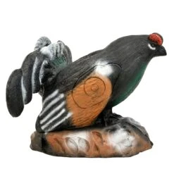 100247 Leitold Blackcock