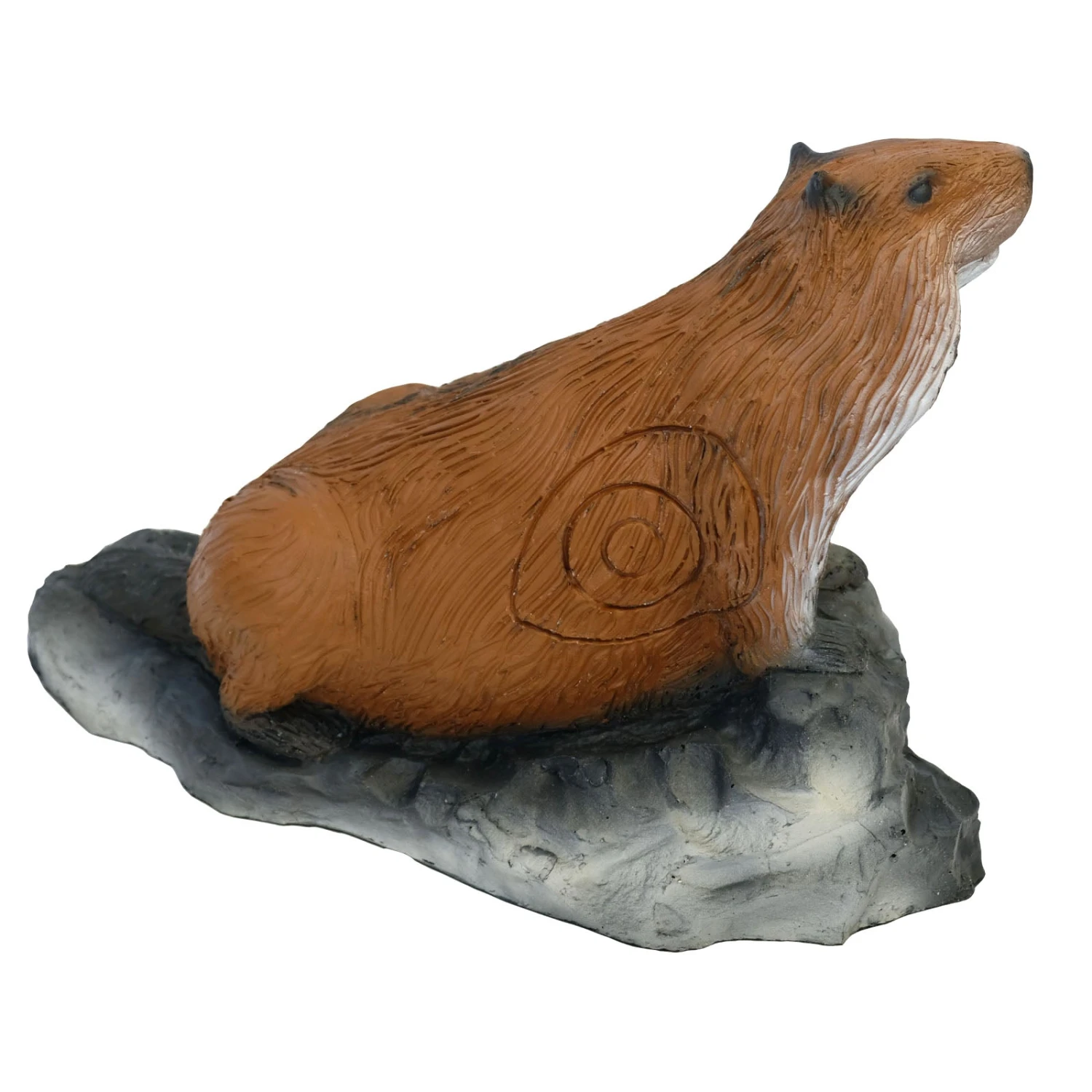 100250 Leitold Running Marmot 4 100250 Leitold Running Marmot – Bild 2