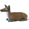 100259 Leitold Large Bedded Doe Deer 1 100259 Leitold Large Bedded Doe Deer -Bogenwelt Verkauf 3D 0058 Hirschkuh liegend