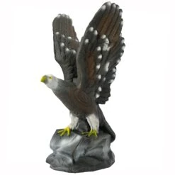 100262 Leitold Bald Eagle