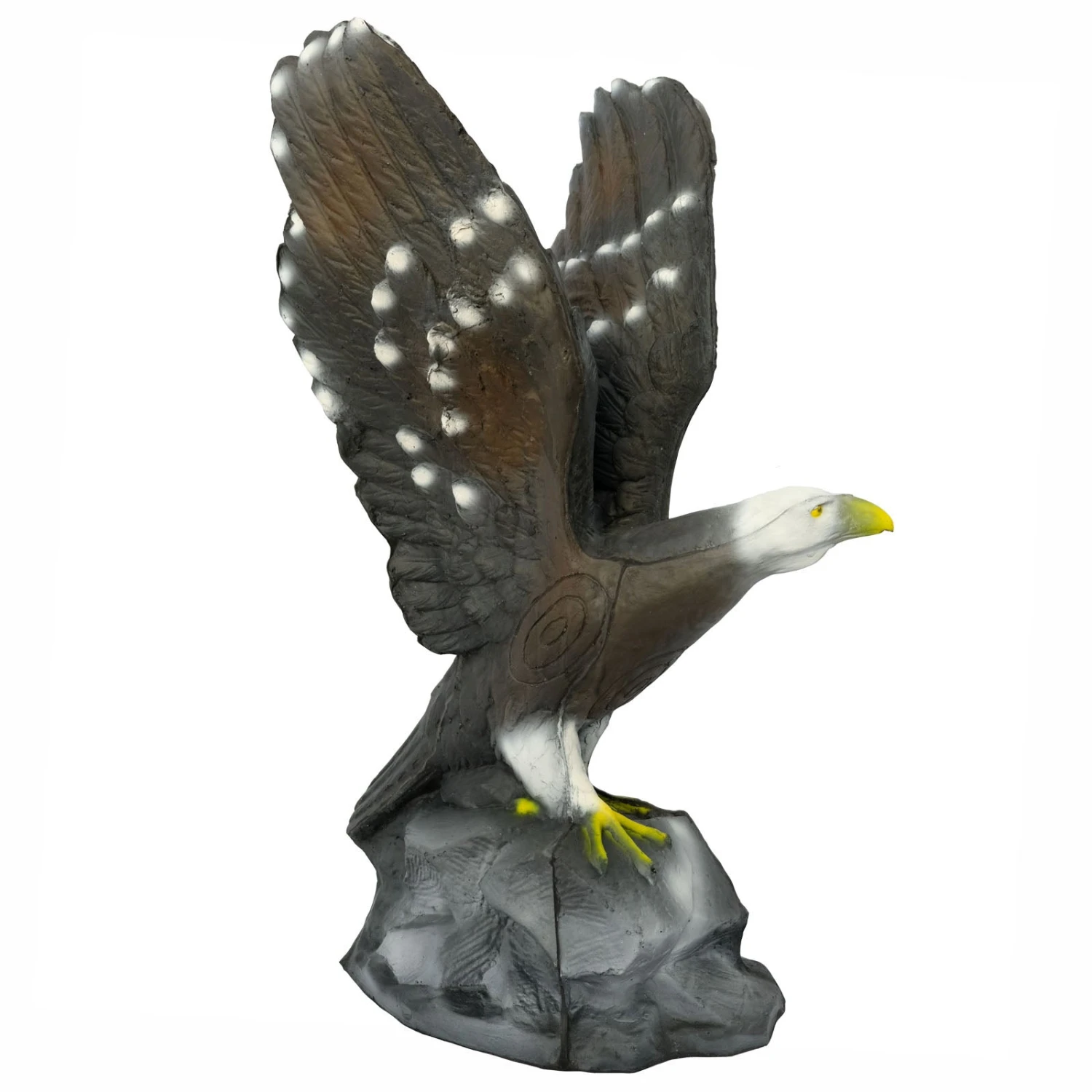 100262 Leitold Bald Eagle 4 100262 Leitold Bald Eagle – Bild 2