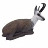 100270 Leitold Bedded Chamois