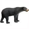 100272 Leitold Walking Black Bear