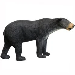 100272 Leitold Walking Black Bear