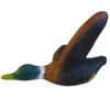 100281 Leitold Flying Duck -Bogenwelt Verkauf 3D 0080 Ente streichend