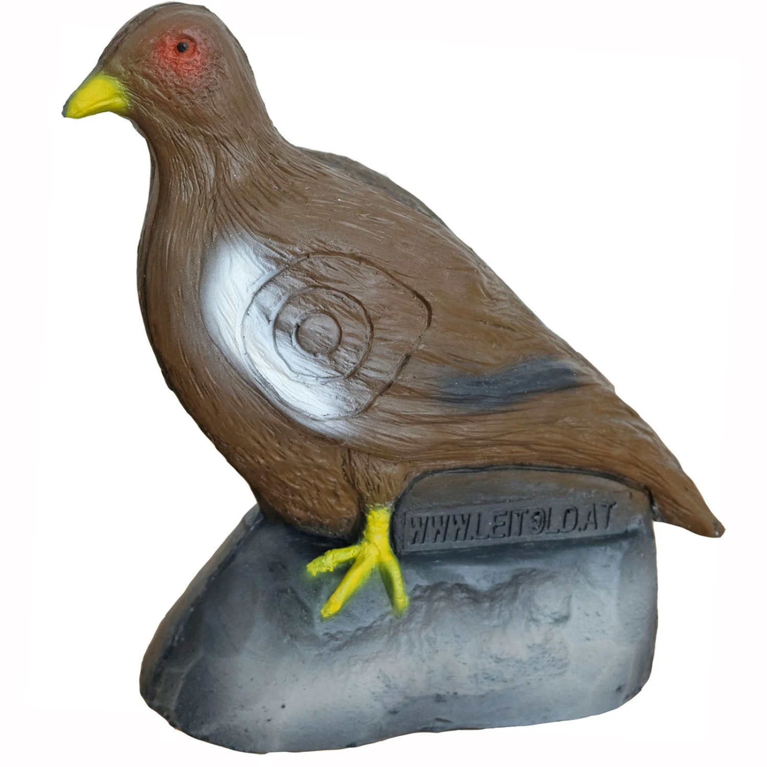 100296 Leitold Pheasant Hen 3 100296 Leitold Pheasant Hen