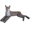 100299 Leitold Lying Lynx
