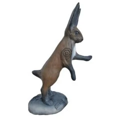 100307 Leitold Hare On Hind Legs