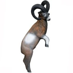 100314 Leitold Mouflon On Hind Legs