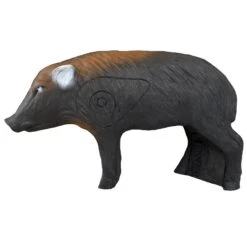 100315 Leitold Young Wild Boar