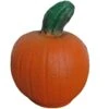 100322 Leitold Pumpkin -Bogenwelt Verkauf 3D 0112 K rbis