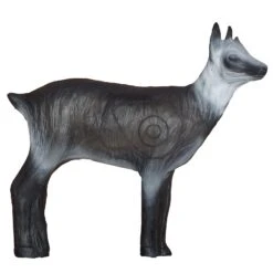 100338 Leitold Young Chamois