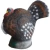 100349 Leitold Strutting Turkey Universal Insert 2 100349 Leitold Strutting Turkey Universal Insert -Bogenwelt Verkauf 3D 0140 UNI Truthahn balzend Universal