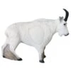 100364 Leitold Mountain Goat With IFAA Insert -Bogenwelt Verkauf 3D 0151 Bergziege 1600px