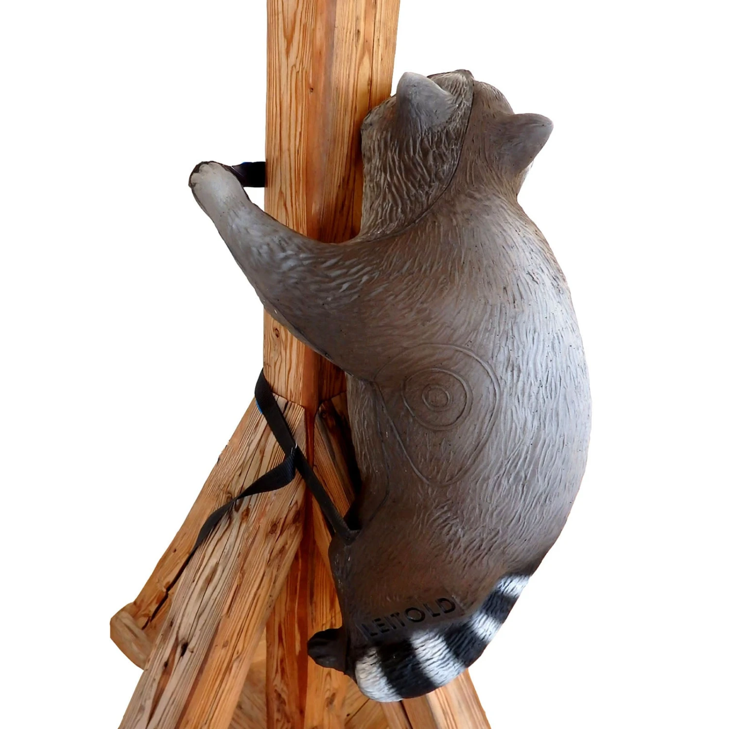 100367 Leitold Climbing Racoon With Lashing Straps 4 100367 Leitold Climbing Racoon With Lashing Straps – Bild 2