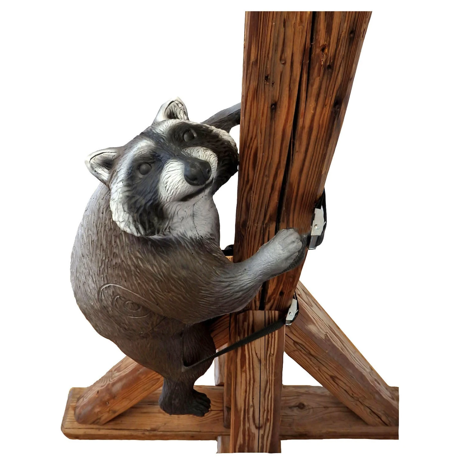 100367 Leitold Climbing Racoon With Lashing Straps 3 100367 Leitold Climbing Racoon With Lashing Straps