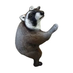 100366 Leitold Climbing Racoon