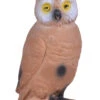 60043 Longlife Little Owl
