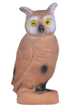 60043 Longlife Little Owl