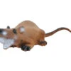 60147 Longlife Rat -Bogenwelt Verkauf 60147