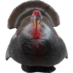 60165 Longlife Courting Gobbler 7 60165 Longlife Courting Gobbler -Bogenwelt Verkauf 60165 02