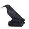 60172 FB Carrion Crow -Bogenwelt Verkauf 60172