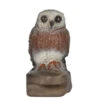 60173 FB Little Owl -Bogenwelt Verkauf 60173