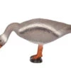60178 FB Grey Goose 2 60178 FB Grey Goose -Bogenwelt Verkauf 60178