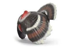 60188 FB Courting Turkey