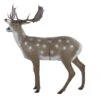 60239 FB Standing Fallow Deer -Bogenwelt Verkauf 60239