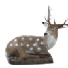 60240 FB Lying Fallow Deer -Bogenwelt Verkauf 60240