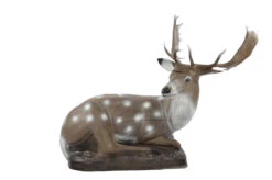 60240 FB Lying Fallow Deer