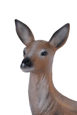 60400 Longlife Lying Roe 7 60400 Longlife Lying Roe -Bogenwelt Verkauf 60400 2