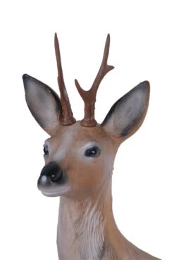 60401 Longlife Lying Roebuck -Bogenwelt Verkauf 60401 2