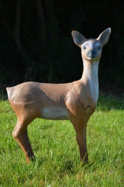 60410 Longlife Alert Roe -Bogenwelt Verkauf 60410 2