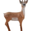 60411 LongLife Alert Roebuck 2 60411 LongLife Alert Roebuck -Bogenwelt Verkauf 60411