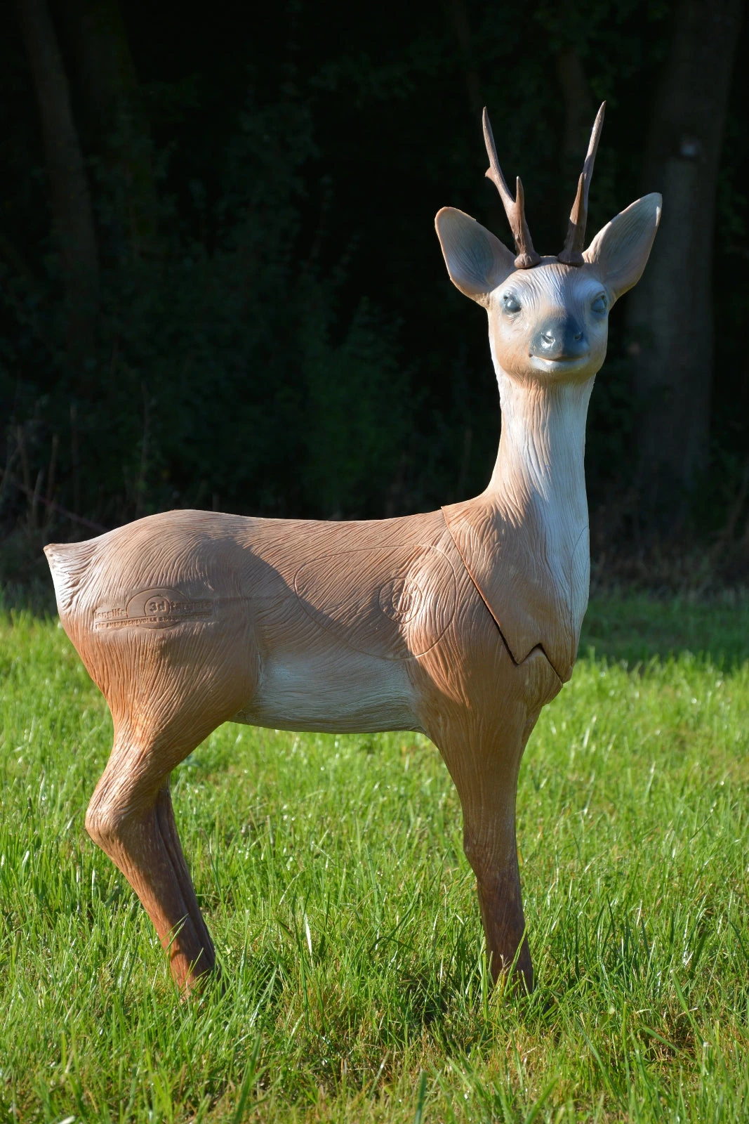 60411 LongLife Alert Roebuck 5 60411 LongLife Alert Roebuck – Bild 3