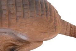 60414 Longlife Armadillo -Bogenwelt Verkauf 60414 2