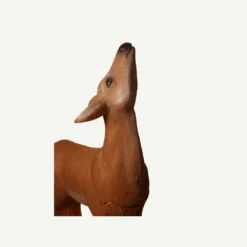 60424 Longlife äsendes Reh 7 60424 Longlife äsendes Reh -Bogenwelt Verkauf 60424 3